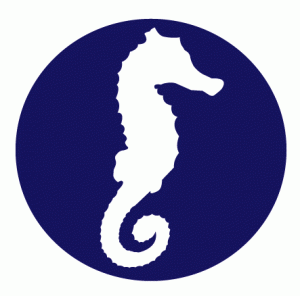 Seahorse_Geomatics - Original Mark